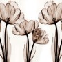 Transparent Floral Art Wallpaper Mural