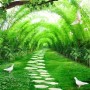 3D Look Forest Way Landscape Wallpaper Mural
