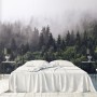 Misty Pine Forest Wallpaper Mural