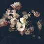 Dutch Dark Floral Wallpaper Mural