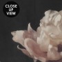 Dutch Dark Floral Wallpaper Mural