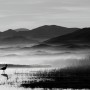 Monochrome Dark Lake Landscape Wallpaper Mural