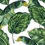 Tropical Banana Leaf Wallpaper Mural