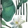 Watercolor White Lotus Floral and Leaves Wall Decal Sticker