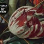 Dark Floral Dutch Bouquet with Tulips Wallpaper Mural