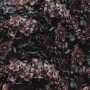 Dark Floral Hydrangea Wallpaper Mural