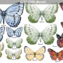 Colorful Butterflies Wall Decal Sticker