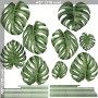 Watercolor Leafs Wall Decal Sticker