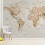 Soft Brown Political World Map Wallpaper Mural