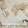 Soft Brown Political World Map Wallpaper Mural