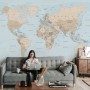 Brown & Brown Political World Map Wallpaper Mural