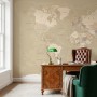 Brown & Brown Political World Map Wallpaper Mural
