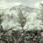 Vintage Tropical Forest Wallpaper Mural