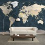 Navy Blue Political World Map Wallpaper Mural