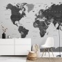 World Map Wallpaper Mural