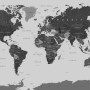 World Map Wallpaper Mural