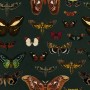 Colorful Butterfly Patterns on Green Background Wallpaper Mural