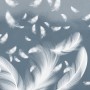 Blue Feathers Wallpaper Mural