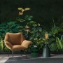 Dark Tropical Plants Wallpaper Mural