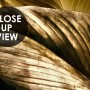 Elegant Golden Dead Leaf Wallpaper Mural