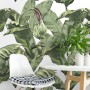 Green Tropical Bananana Leaves with Calla Lily Flowers Wallpaper Mural