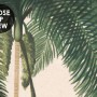Tropical Nature Landscape with Birds Wallpaper Mural