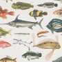 Vintage Style Aqua Fish Art Wallpaper Mural