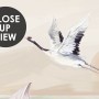 White Lotus Floral and Crane Birds Wallpaper Mural