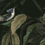 Dark Botanical Plants with Animals Wallpaper Mural