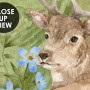 Kids Watercolor Coniferous Forest with Animals Wallpaper Mural