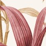 Colorful Tropical Banana Tree Wallpaper Mural