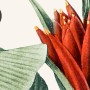 Colorful Tropical Banana Tree Wallpaper Mural