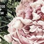 Dark Botanical Soft Floral Wallpaper Mural