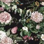 Dark Botanical Soft Floral Wallpaper Mural