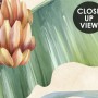 Palm and Banana Leaf Wallpaper Mural