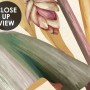 Palm and Banana Leaf Wallpaper Mural