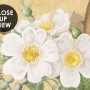 Chinoiserie Peony Tree Wallpaper Mural