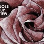 Watercolor Dark Peony Floral Wallpaper Mural