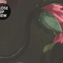 Dutch Flower Peony with Tulips Dark Floral Wallpaper Mural