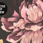 Dutch Flower Peony with Tulips Dark Floral Wallpaper Mural