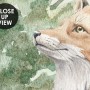 Kids Forest Animals in the Jungle Wallpaper Mural