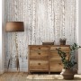 Birch Tree Forest in Winter Wallpaper Mural