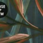Dark Tropical Exotic Palm Leaf Wallpaper Mural
