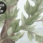 Rainforest Nature Tree Landscape Wallpaper Mural