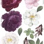 Colorful Peony and White Daisy Floral Bouqets Wall Decal Sticker
