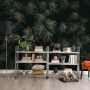 Pine Forest Aerial View Wallpaper Mural