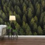 Pine Forest Landscape Wallpaper Mural