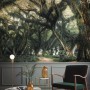 Tree Roots Wallpaper Mural