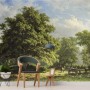 Rural Life View Wallpaper Mural