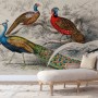 Historical Vintage Peacock Art Wallpaper Mural